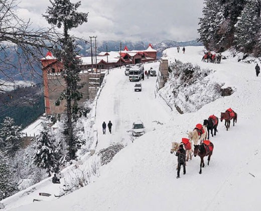 Day 08: Shimla