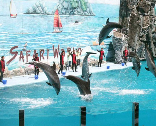 Visit Safari World & Marine Park