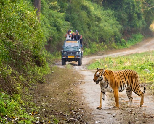 Day 02 : Corbett National Park