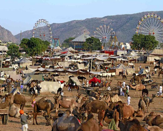 Day 08: Pushkar