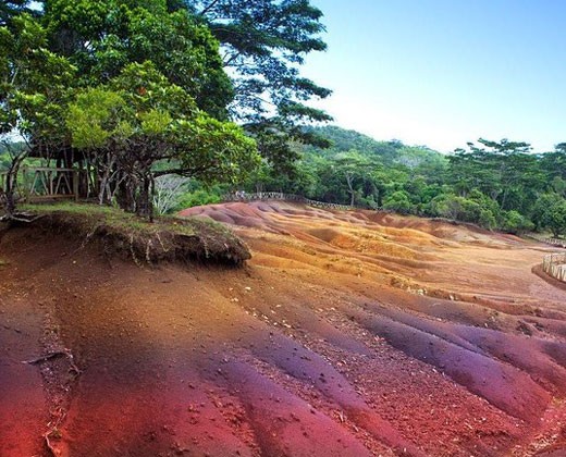 Day : 4 Full Day South Island Tour