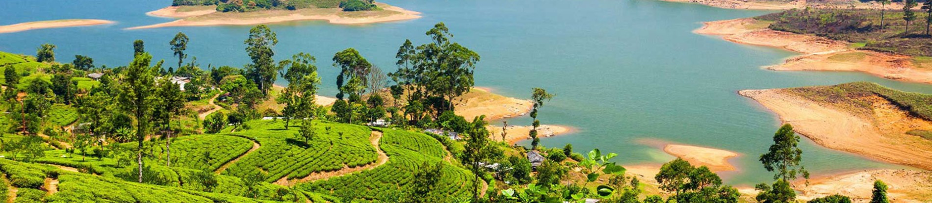 Mesmerising Sri Lanka Honeymoon Special