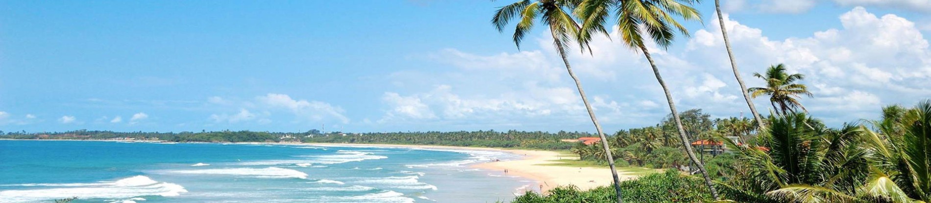 Exotic Sri Lanka