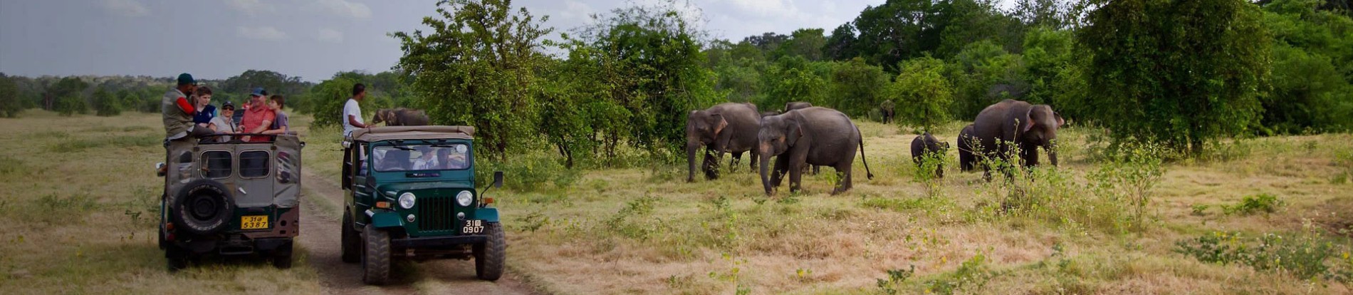 Best Of Sri Lanka